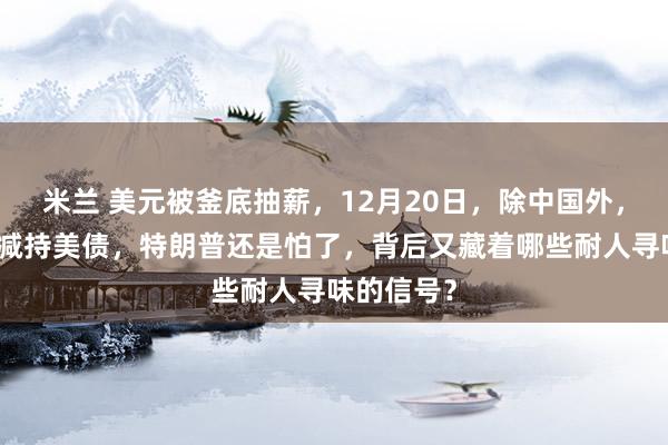 米兰 美元被釜底抽薪，12月20日，除中国外，美盟友也减持美债，特朗普还是怕了，背后又藏着哪些耐人寻味的信号？