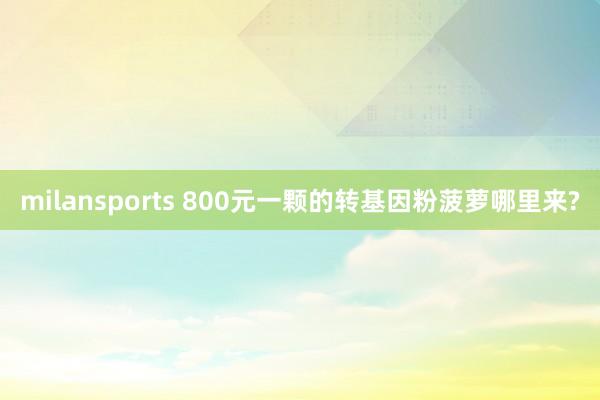 milansports 800元一颗的转基因粉菠萝哪里来?